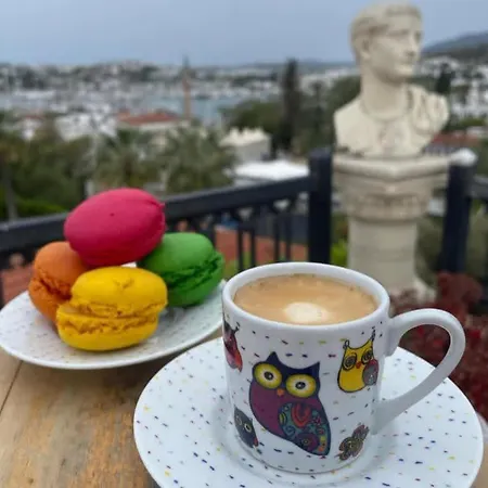 Accommodatie bij particulieren Casa Roma Boutique *